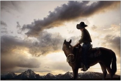 skyhorse